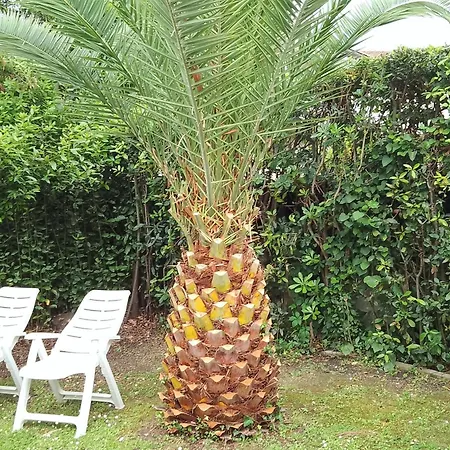 Apartment Casina Del France Forte dei Marmi